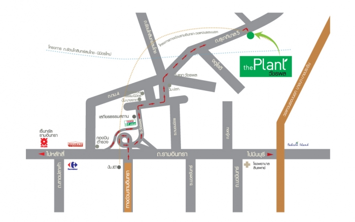 Ἱ�������Ź�� The Plant �Ѫþ� ��ҹ�Ѵ���